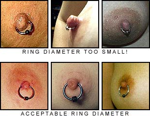 File:Small Nipple Rings-1.jpg