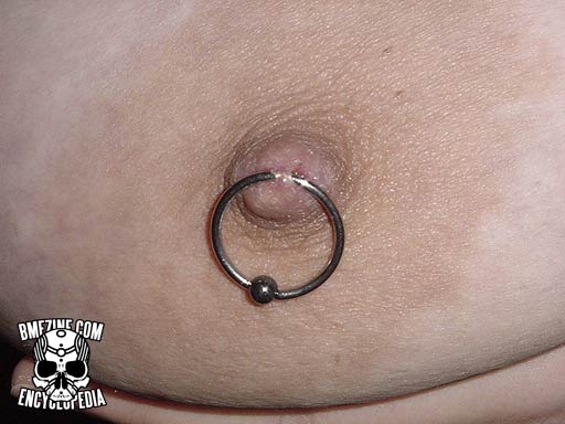 File:Small Nipple Rings-2.jpg