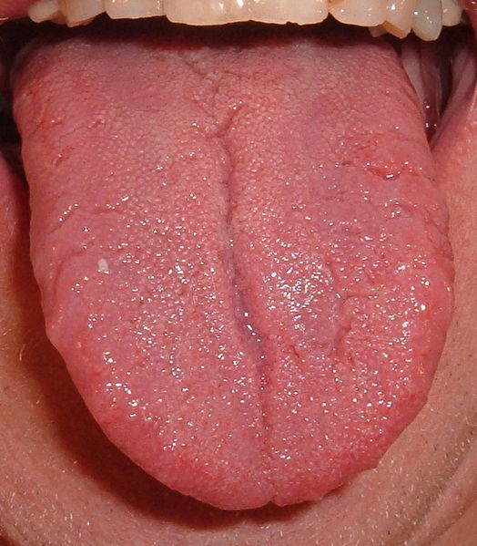 File:524px-Tongue.agr.jpg