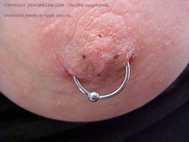 File:Small Nipple Rings-3.jpg