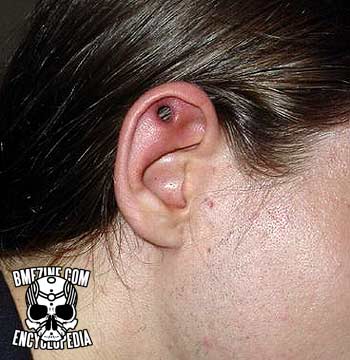 File:Outer Conch Piercing-4.jpg