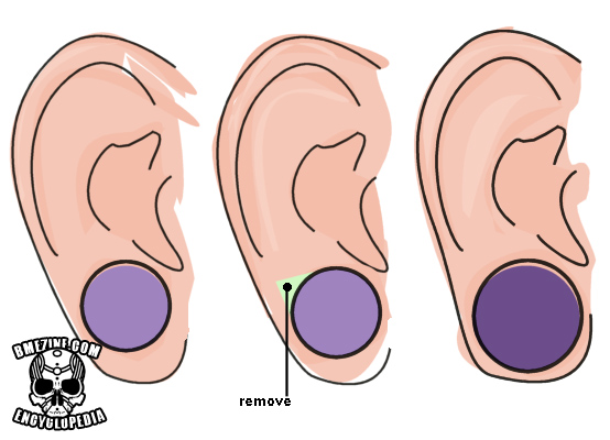 File:Earscalpdiagram.jpg