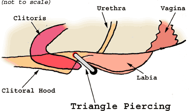 File:Triangle Piercing-5.gif