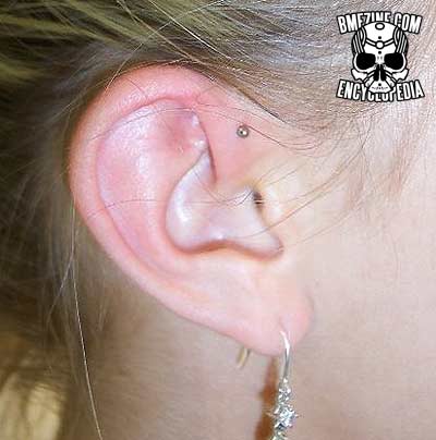 File:Ear Head Piercing-1.jpg