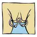 File:Outer labia.jpg