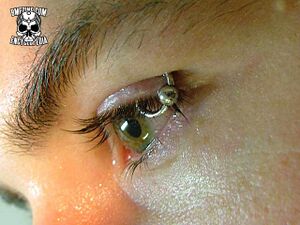 Eyelid Piercing-2.jpg
