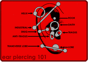 Ear piercing-1.gif