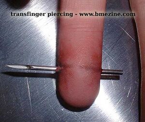 Transfinger Piercing-4.jpg