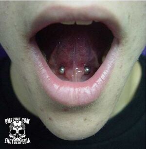Tongue Web Piercing-4.jpg