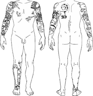 Scythian tattoos.gif