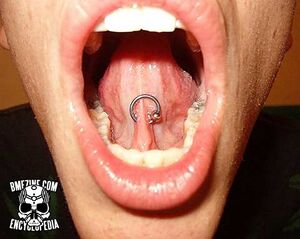 Tongue Web Piercing-1.jpg